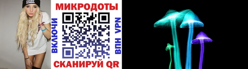 mega как войти  купить наркоту  Сорочинск  Галлюциногенные грибы Psilocybine cubensis 
